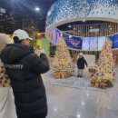 함평엑스포공원 이미지