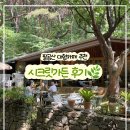 시크릿가든카페 | 대구 팔공산 시크릿가든 카페｜애견동반 가능, 아기와 함께 다녀온 솔직후기