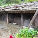 흙집 쉼 이미지