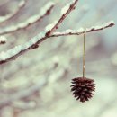 스킨패턴 이미지