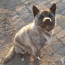 초두농장 이미지