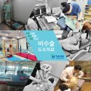 성수정형외과의원 네이버블로그