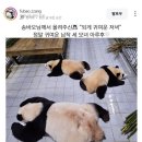 구:호호면옥 | 티읕티읕