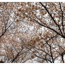 군산체육관 이미지