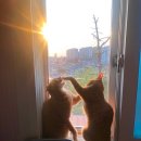 보경 동물병원 이미지