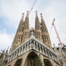 리틀가우디미술학원 이미지