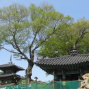 복내면사무소 이미지