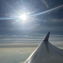 색달무상 | [제주도] 3박 4일 여행 후기