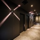 빨간여우 이미지