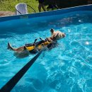 휴양림3170 이미지