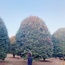 철민농장 이미지