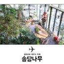 송당송당 이미지