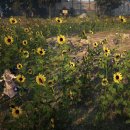 거야농장 이미지