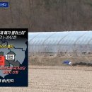 용인SK아카데미