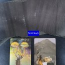 써니상사2