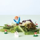 고기연구소 바른 이미지