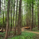 가야산오토캠핑장 이미지