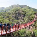 출렁다리 이미지