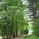 광릉수목원 이미지