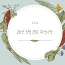 2025년 3월 13일 주식시장