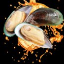 네이쳐스키 이미지