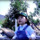 삼호농장 이미지