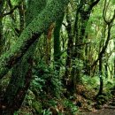 힐링밸리민박 이미지