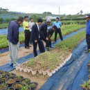 형제농원 이미지