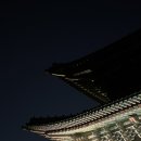 (주)파닥파닥
