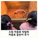 동반자 | 수원 파충류 박람회 : 파충류 동반자 후기
