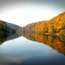 세상만사 이미지