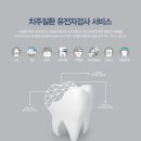 와이디솔루션 이미지