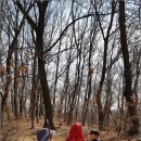 숲의 마음 이미지