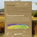 태화강 철새공원 이미지