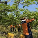 함안소방서 이미지