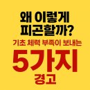 덕영대로 2L | 하루하루가 피곤한 사람 여기 주목하세요 !! 화서역 pt 후기