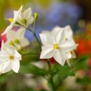 아세아골프연습장 이미지