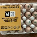 영월백봉오골계농장