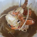 인생아구찜 달서점 | 대구 상인동 해물찜 꽃게알탕 추천 인생 맛집 '물항구 해물찜'