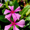 감천초등학교유치원 이미지