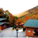 좌구산휴양랜드 이미지