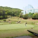 분당그린피아골프 이미지