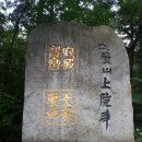 봉평메밀숲 이미지