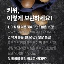 후숙 기다릴 필요 없었던 달콤한 골드키위 후기