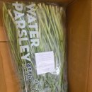 한미농장 | 제철 돌미나리 세척 미나리 500g 후기, 샤브샤브와 먹으니 꿀맛이었던 미나리 YM 마켓, 돌미나리, 미나리