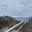 까치공원 맞은편 | [포항여행] 포항 스페이스워크 후기｜직접 걸어본 솔직 리뷰 + 주차 꿀팁 (환호공원)