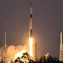 스페이스X 이미지