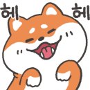 견*수