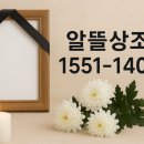 고대1111 이미지