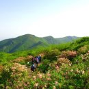 소백산 이미지